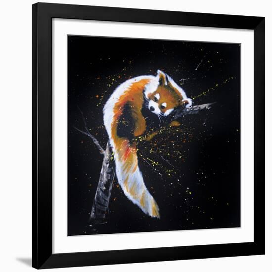Red Panda In A Tree-null-Framed Art Print