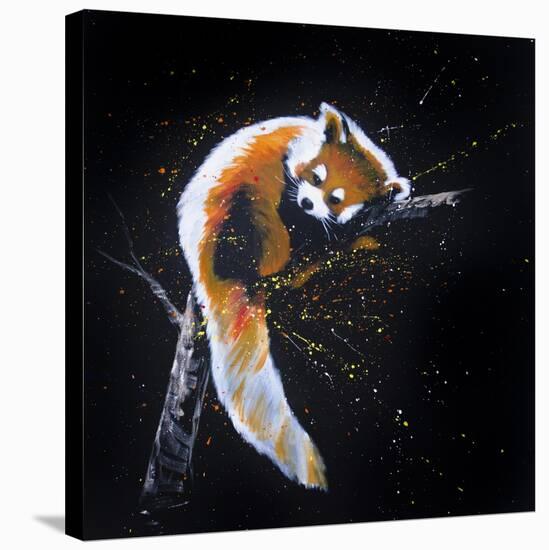 Red Panda In A Tree-null-Stretched Canvas