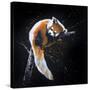 Red Panda In A Tree-null-Stretched Canvas