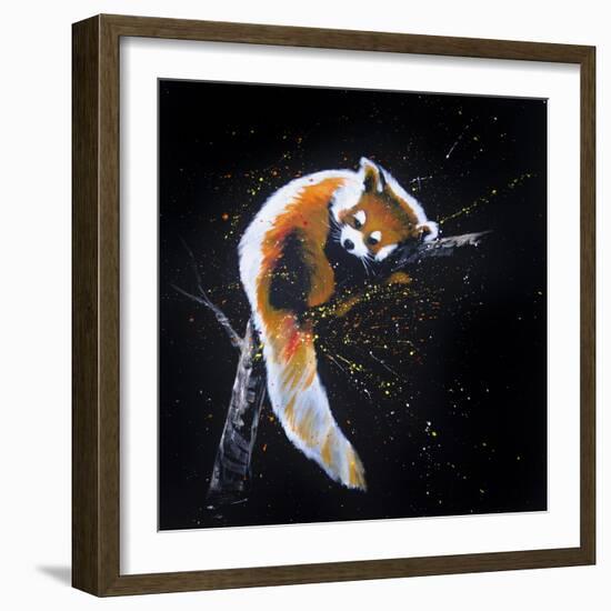 Red Panda In A Tree-null-Framed Art Print