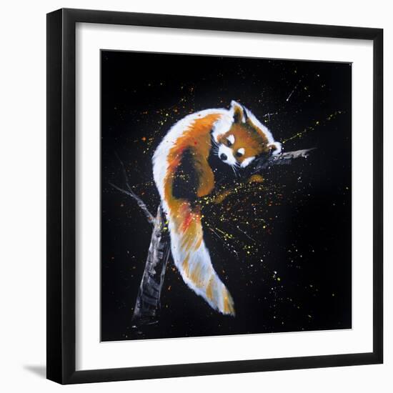 Red Panda In A Tree-null-Framed Art Print