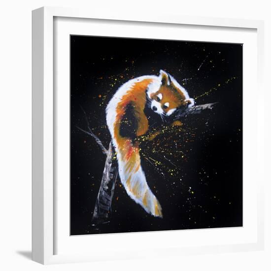 Red Panda In A Tree-null-Framed Art Print