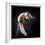 Red Panda In A Tree-null-Framed Art Print