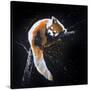 Red Panda In A Tree-null-Stretched Canvas