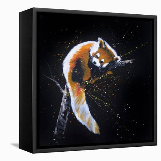 Red Panda In A Tree-null-Framed Stretched Canvas