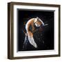 Red Panda In A Tree-null-Framed Art Print