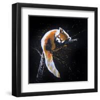 Red Panda In A Tree-null-Framed Art Print