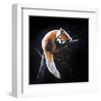 Red Panda In A Tree-null-Framed Art Print