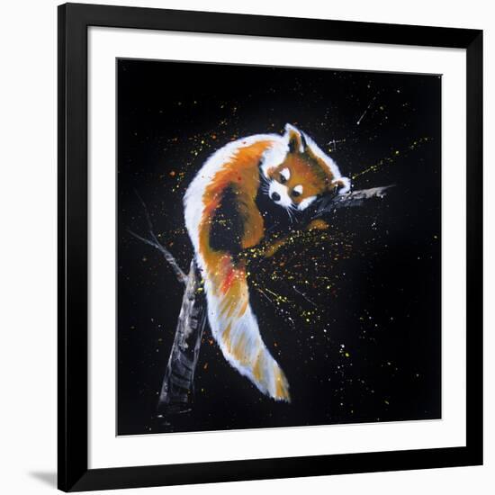 Red Panda In A Tree-null-Framed Art Print