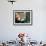 Red Panda, Taronga Zoo, Sydney, Australia-David Wall-Framed Photographic Print displayed on a wall