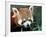 Red Panda, Taronga Zoo, Sydney, Australia-David Wall-Framed Photographic Print