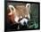 Red Panda, Taronga Zoo, Sydney, Australia-David Wall-Framed Photographic Print