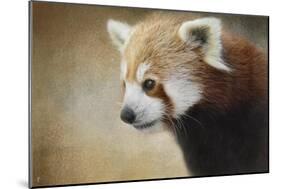 Red Panda Watching-Jai Johnson-Mounted Giclee Print