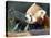Red Panda Xia-Tschung-Mao Feeds on Bamboo-null-Stretched Canvas