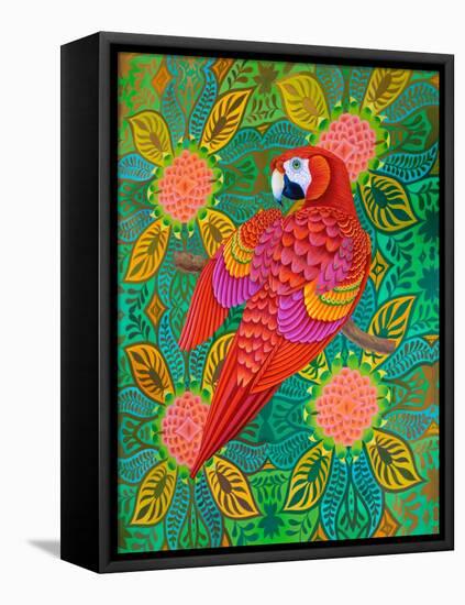 Red parrot, 2021, (oil on canvas)-Jane Tattersfield-Framed Stretched Canvas