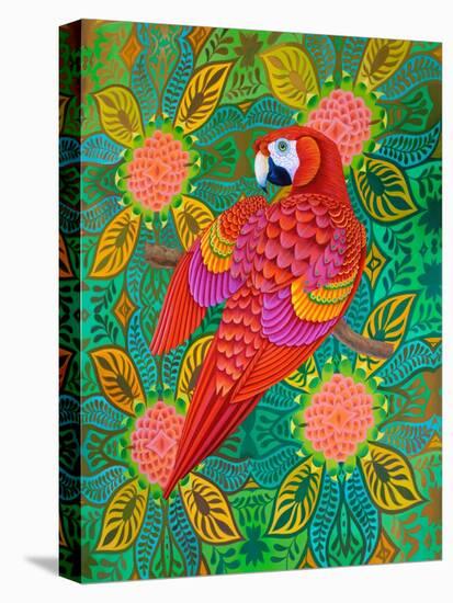 Red parrot, 2021, (oil on canvas)-Jane Tattersfield-Stretched Canvas