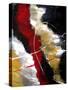 Red Passion-Ruth Palmer-Stretched Canvas