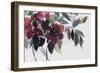 Red Passion-Asia Jensen-Framed Art Print