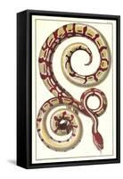 Red Patterned Snake-null-Framed Stretched Canvas