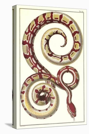 Red Patterned Snake-null-Stretched Canvas