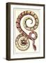 Red Patterned Snake-null-Framed Art Print