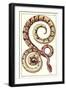 Red Patterned Snake-null-Framed Art Print