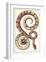 Red Patterned Snake-null-Framed Art Print