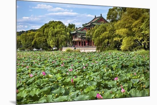 Red Pavilion Lotus Pads Garden Summer Palace Park, Beijing, China Willow Green Trees-William Perry-Mounted Premium Photographic Print