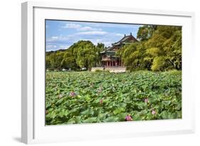 Red Pavilion Lotus Pads Garden Summer Palace Park, Beijing, China Willow Green Trees-William Perry-Framed Photographic Print