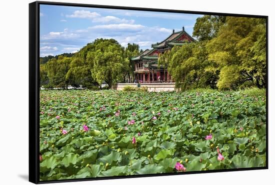 Red Pavilion Lotus Pads Garden Summer Palace Park, Beijing, China Willow Green Trees-William Perry-Framed Stretched Canvas
