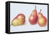Red Pears, 1996-Margaret Ann Eden-Framed Stretched Canvas
