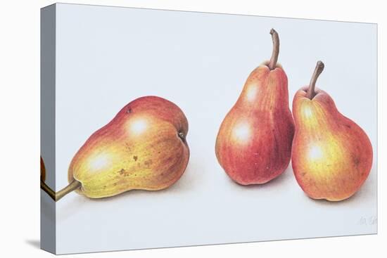 Red Pears, 1996-Margaret Ann Eden-Stretched Canvas