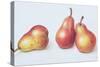 Red Pears, 1996-Margaret Ann Eden-Stretched Canvas