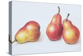 Red Pears, 1996-Margaret Ann Eden-Stretched Canvas