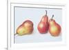 Red Pears, 1996-Margaret Ann Eden-Framed Giclee Print