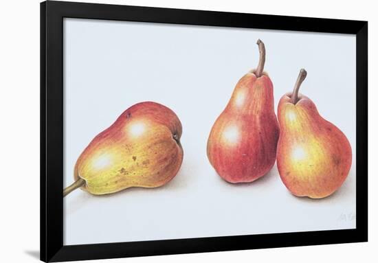 Red Pears, 1996-Margaret Ann Eden-Framed Giclee Print