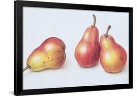 Red Pears, 1996-Margaret Ann Eden-Framed Giclee Print