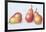 Red Pears, 1996-Margaret Ann Eden-Framed Giclee Print