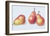 Red Pears, 1996-Margaret Ann Eden-Framed Giclee Print