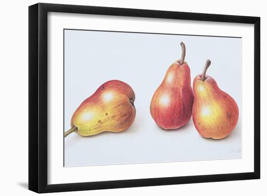 Red Pears, 1996-Margaret Ann Eden-Framed Giclee Print