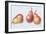 Red Pears, 1996-Margaret Ann Eden-Framed Giclee Print