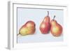 Red Pears, 1996-Margaret Ann Eden-Framed Giclee Print