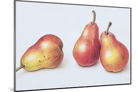 Red Pears, 1996-Margaret Ann Eden-Mounted Giclee Print