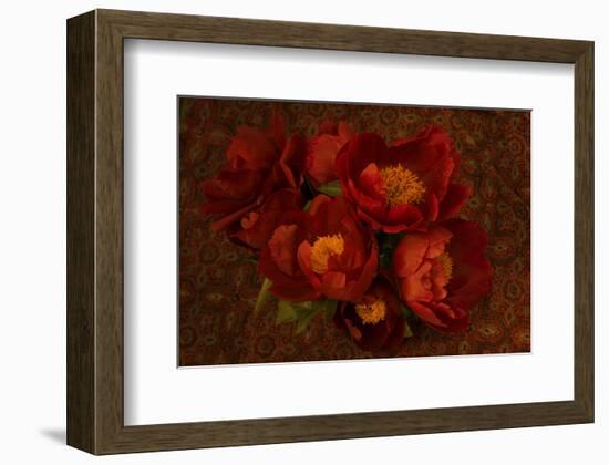 Red Peonies I-Judy Stalus-Framed Art Print