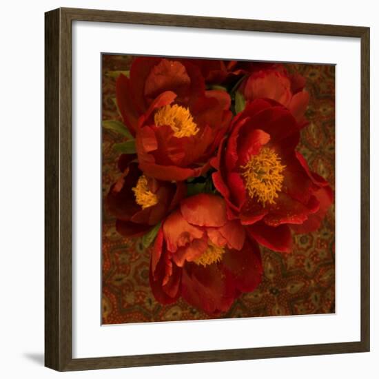 Red Peonies II-Judy Stalus-Framed Art Print