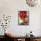 Red Peonies-Sebastian Vogt-Framed Stretched Canvas displayed on a wall