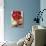 Red Peonies-Sebastian Vogt-Stretched Canvas displayed on a wall