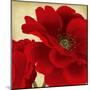 Red Peony I-Linda Wood-Mounted Art Print