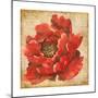 Red Peony on Gold-Patricia Pinto-Mounted Premium Giclee Print