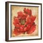 Red Peony on Gold-Patricia Pinto-Framed Art Print